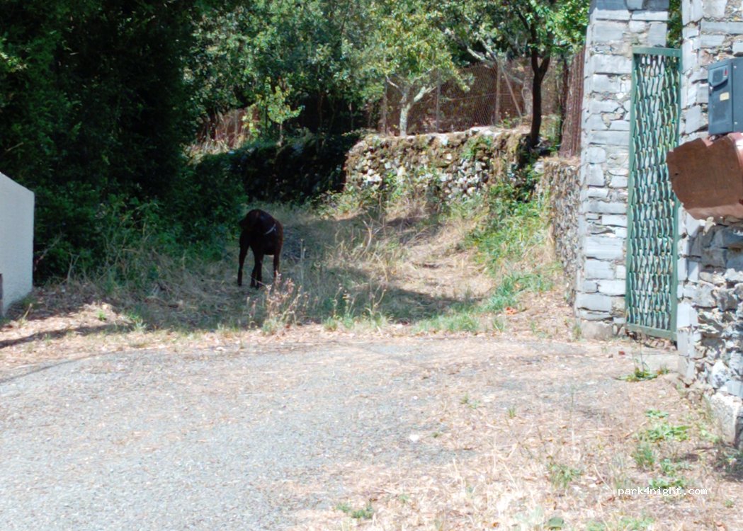 (34284) Saint-Pons-de-Thomières - 3 Chemin du Verdio — foto 5