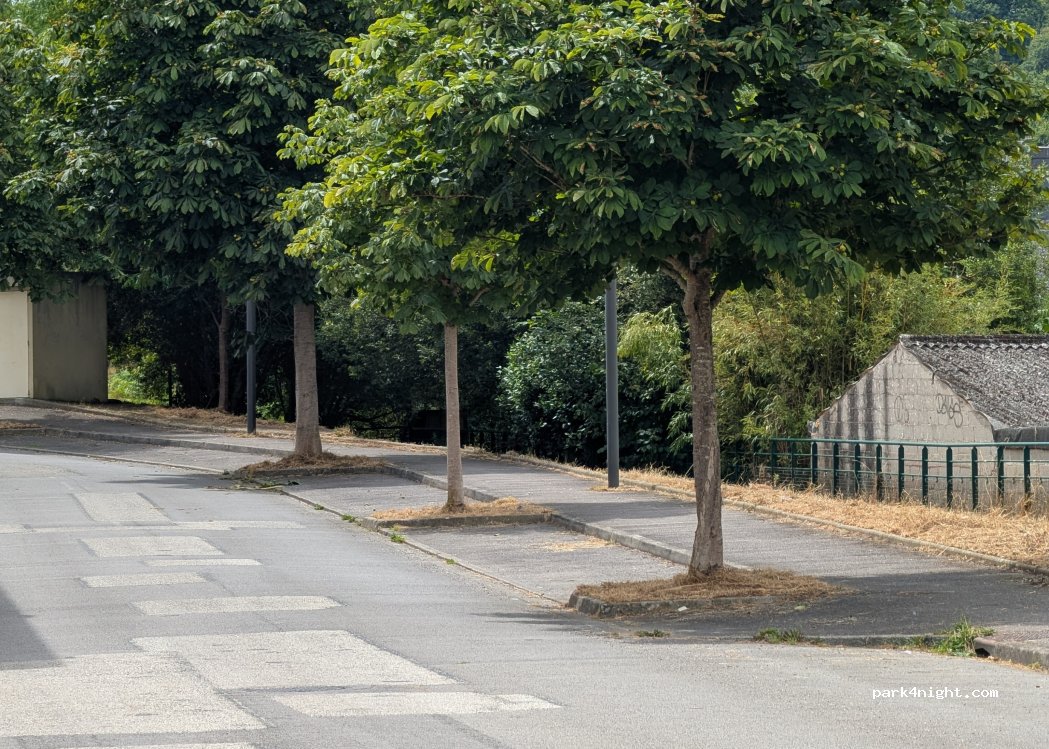 (29000) Quimper - 39 Rue Yves Philippe — foto