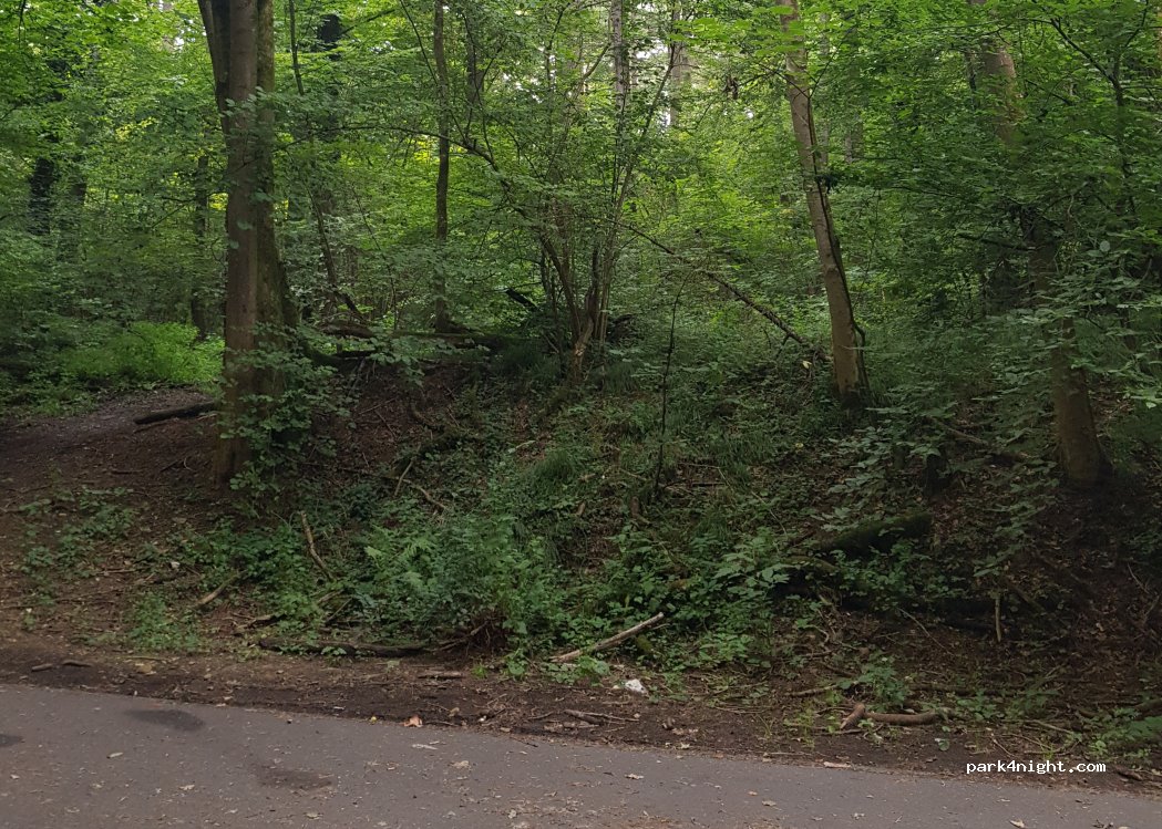 (56410) Montabaur - Im Stadtwald — foto 2