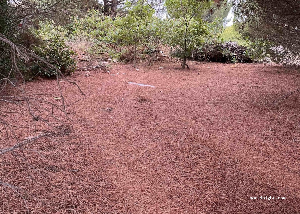 (34130) Mauguio - 100 Chemin du Mas de Gineste — foto