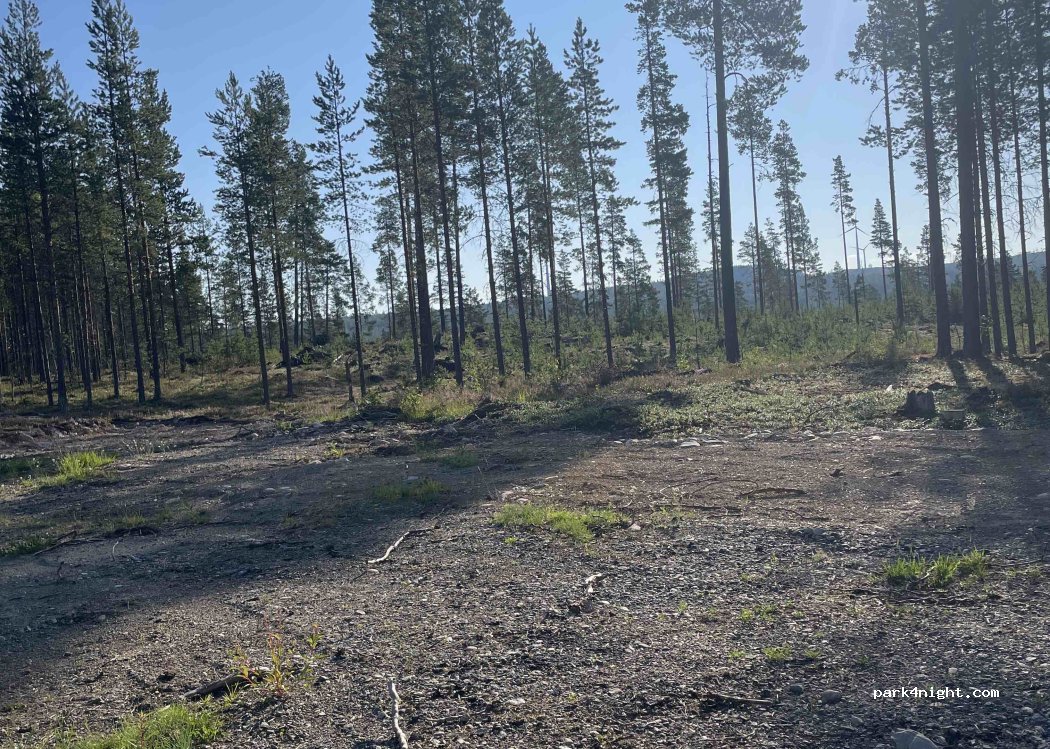 (845 95) Rätan - — foto 2
