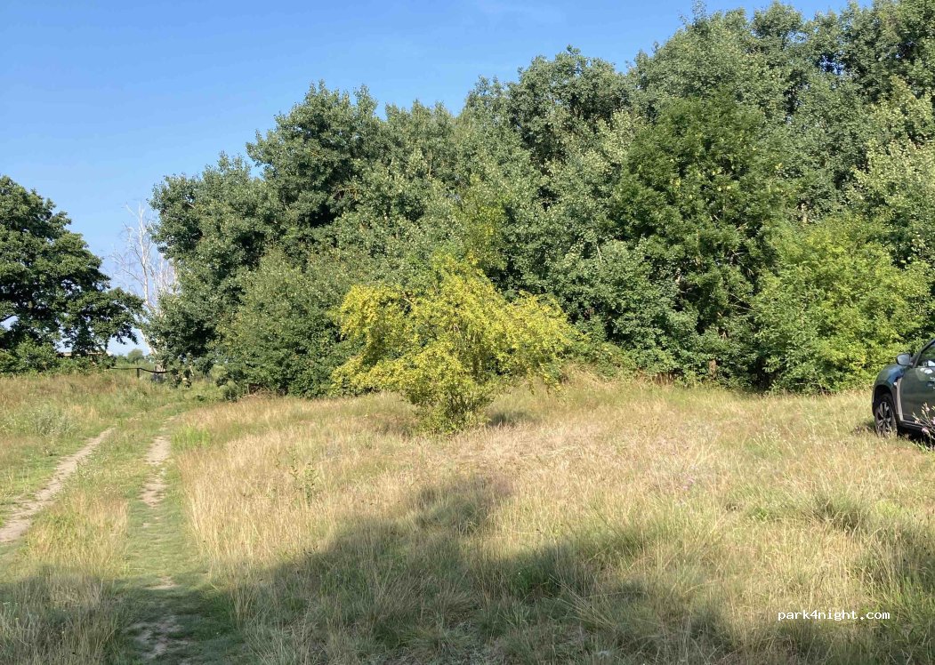 (72-510) Skoszewo - — foto
