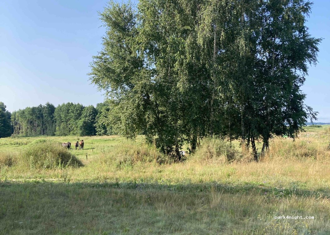 (72-510) Skoszewo - — foto 2