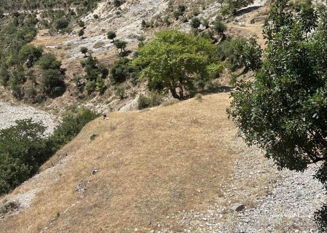 (66182) Bënçë - — foto 3