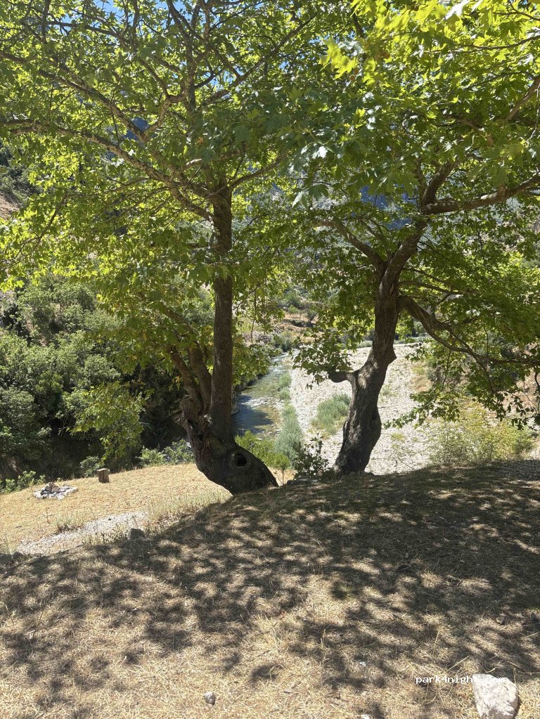 (66182) Bënçë - — foto 4