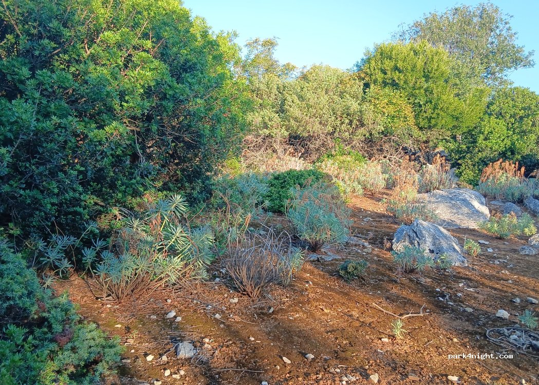 (51550) Punta Križa - Unnamed Road — foto
