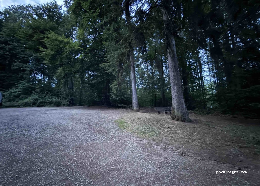 (54338) Schweich - — foto 2