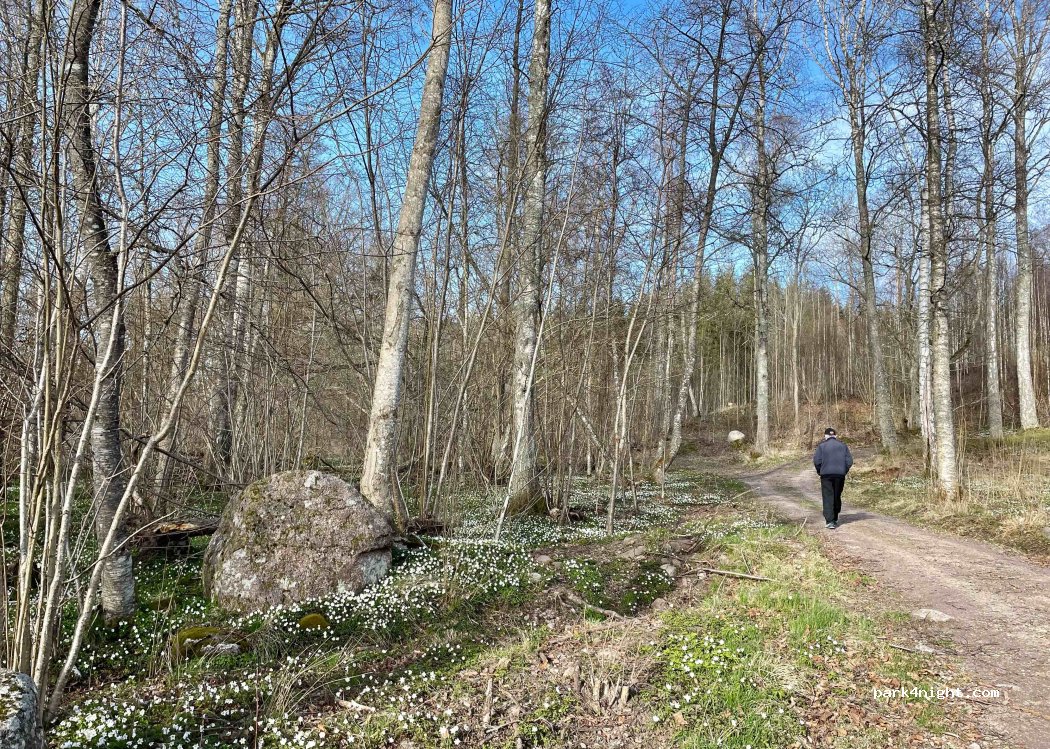 (591 97) Övralid - 2 ÖVRA LID — foto 5