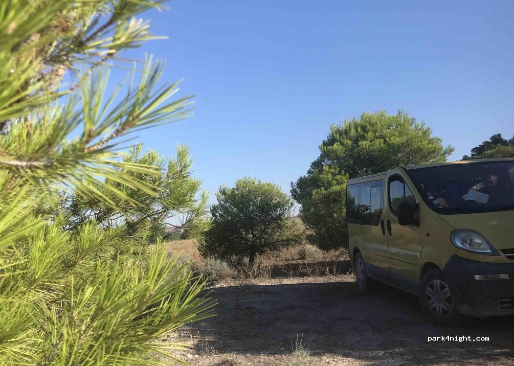 (50750) Pina de Ebro - — foto