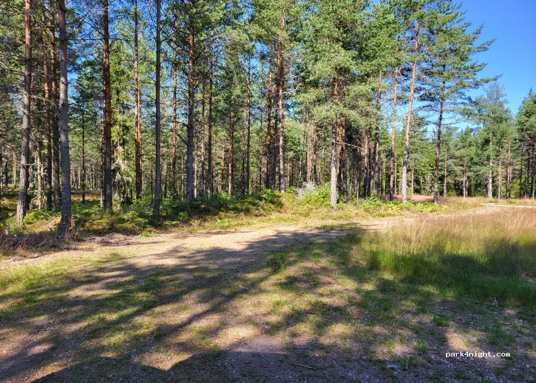 (598 72) Södra Vi - — foto