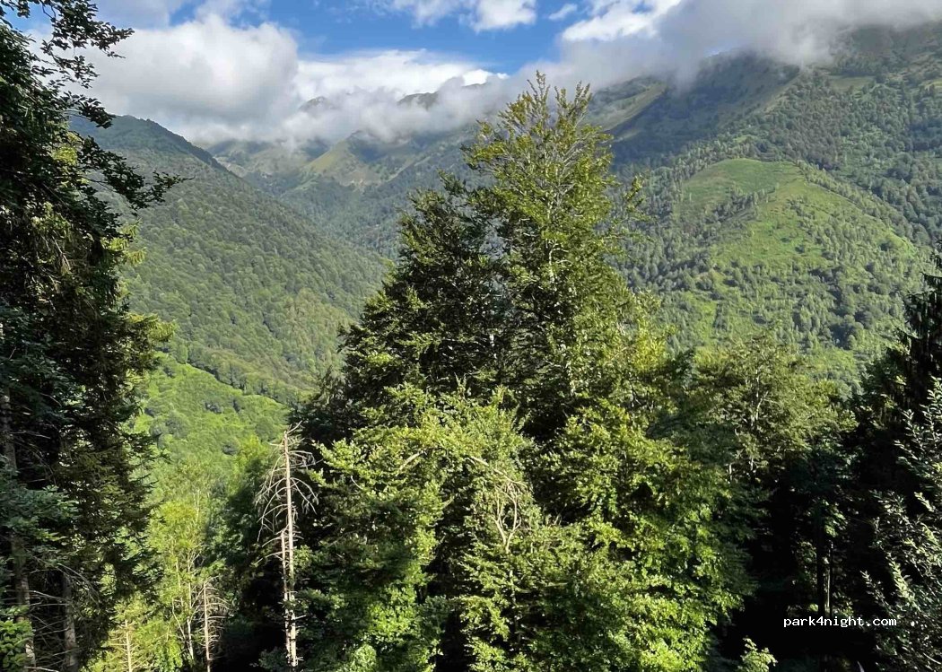 (65560) Arbéost - 208 Chemin de la Cassoulède — foto