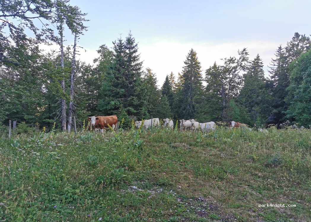 (01410) Lajoux - — foto 4