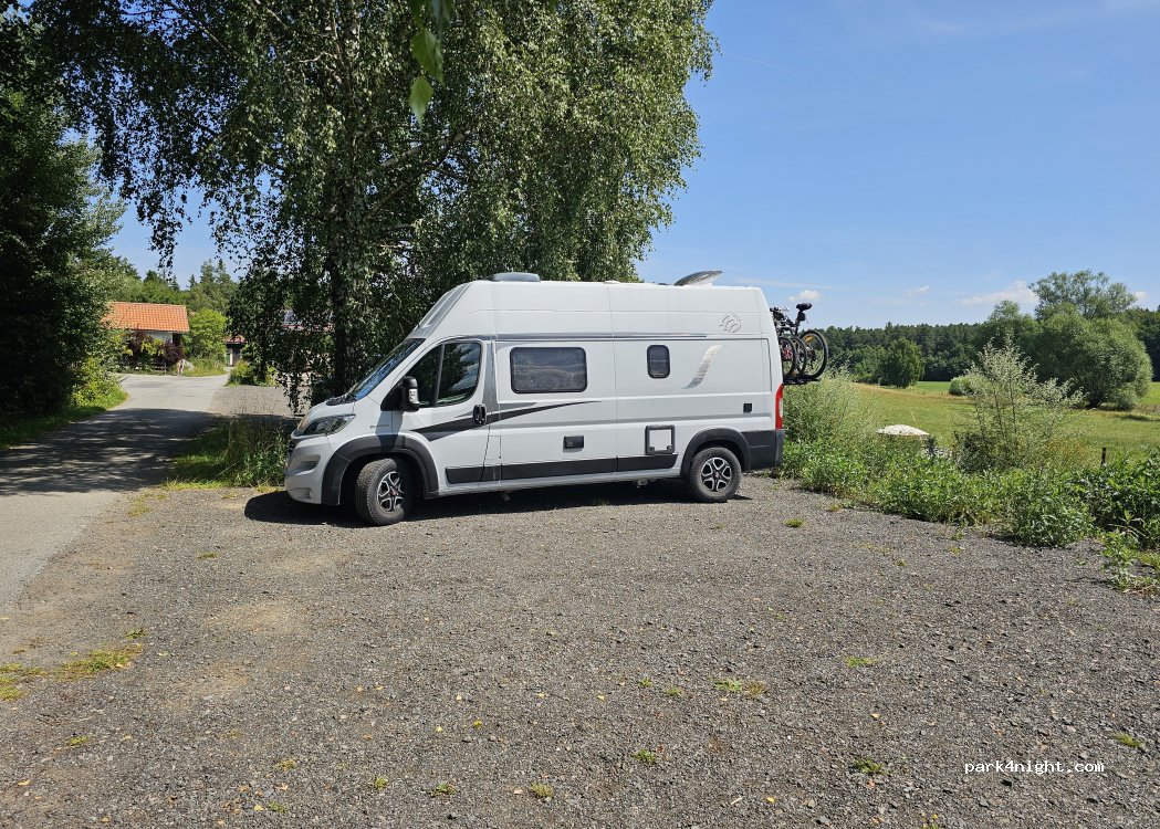 (539 44) Bor u Skutče - Unnamed Road — foto