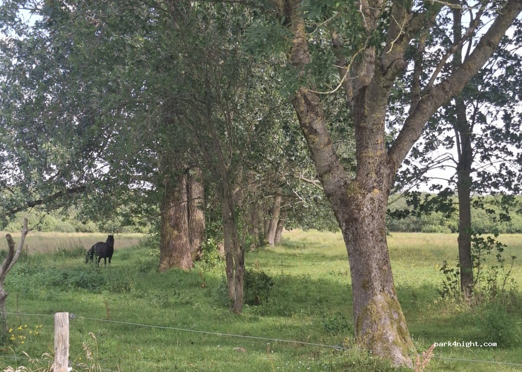 (7160) Tørring - 101 Sønderbrogade — foto 4