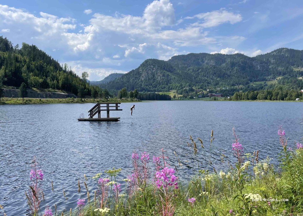 (3848) Morgedal - 204 Morgedalvegen — foto