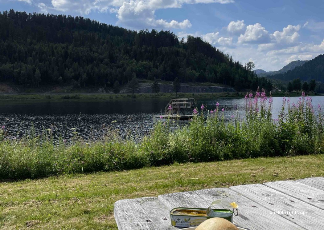 (3848) Morgedal - 204 Morgedalvegen — foto 2