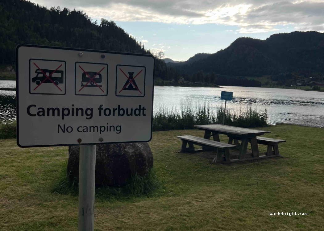 (3848) Morgedal - 204 Morgedalvegen — foto 3