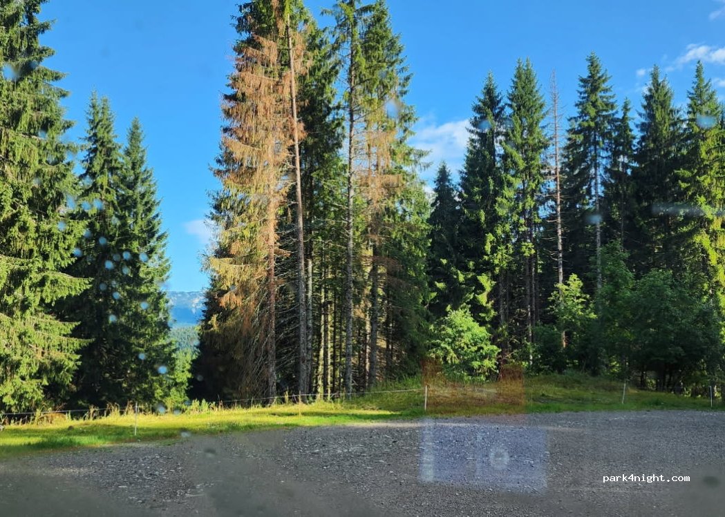(74450) Saint-Jean-de-Sixt - 2358 Route du Danay — foto