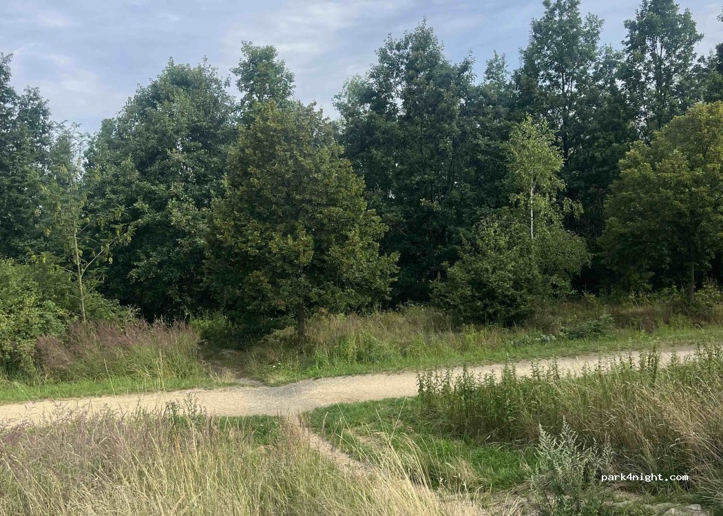 (02785) Olbersdorf - 51 August-Bebel-Straße — foto 2
