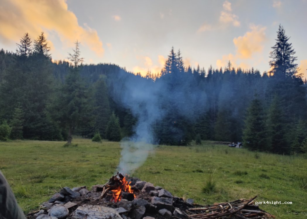 (247101) Obârşia Lotrului - — foto 3