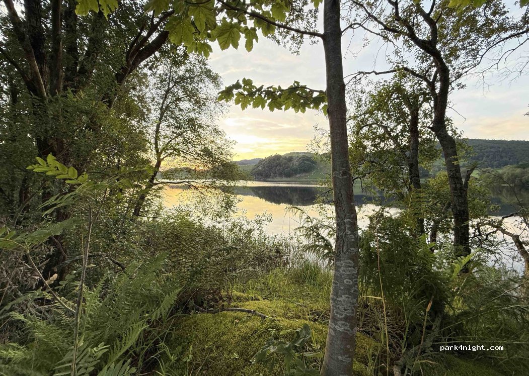 (4336) Sviland - Espelandveien — foto