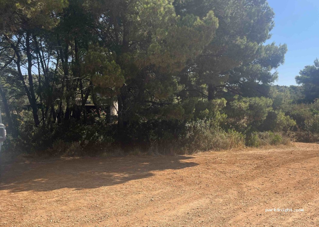 (23212) Tkon - 41 Plažine — foto 3