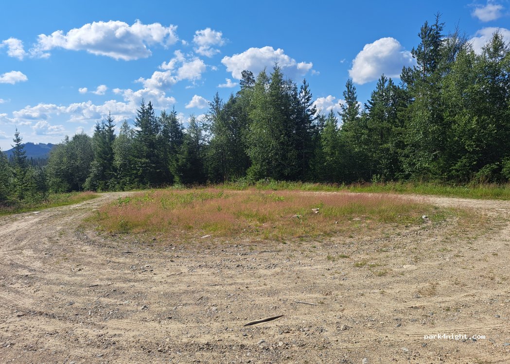 (2429) Tørberget - — foto