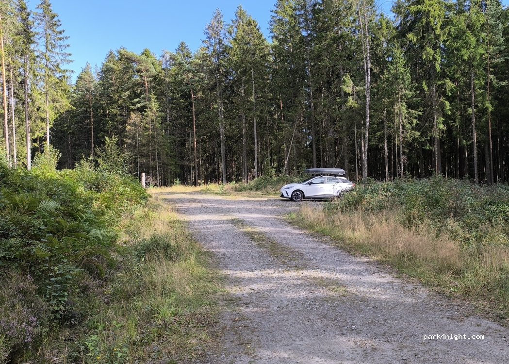 (511 99) Hällingsjö - Jagmastarvagen — foto 2