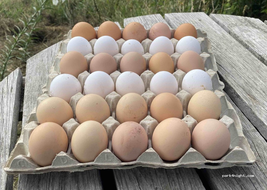 Ferme Sinsac — foto