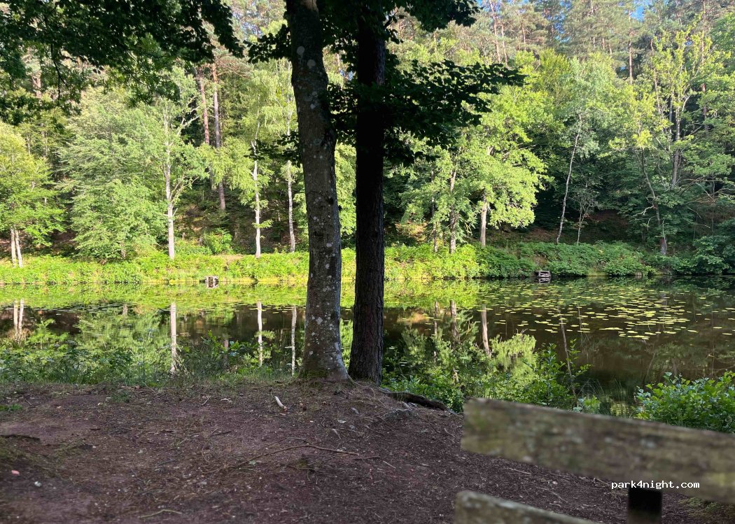 (66957) Eppenbrunn - — foto 2