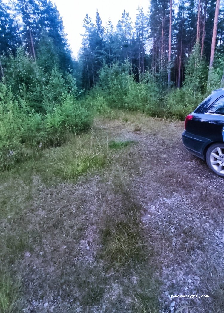 (35300)  - 255 Viitapohjanraitti — foto 2