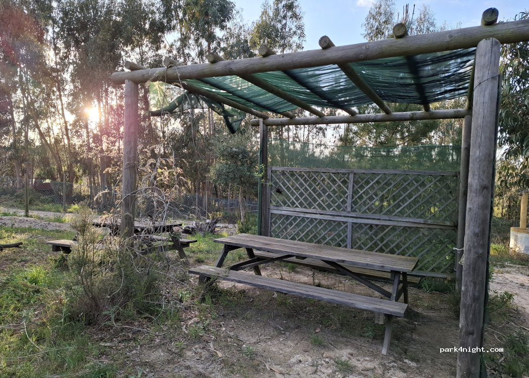 Caria - Organic Farm and Agroforestry — foto 2