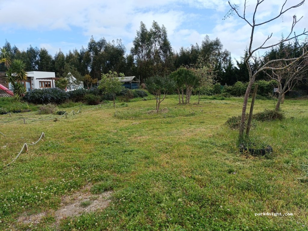 Caria - Organic Farm and Agroforestry — foto 5