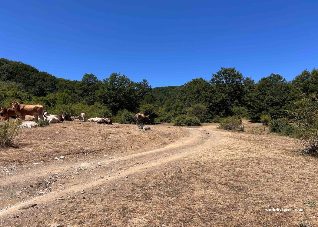 (85010) Calvello - Unnamed Road — foto