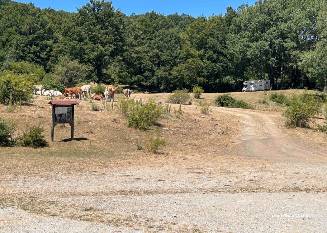 (85010) Calvello - Unnamed Road — foto 4