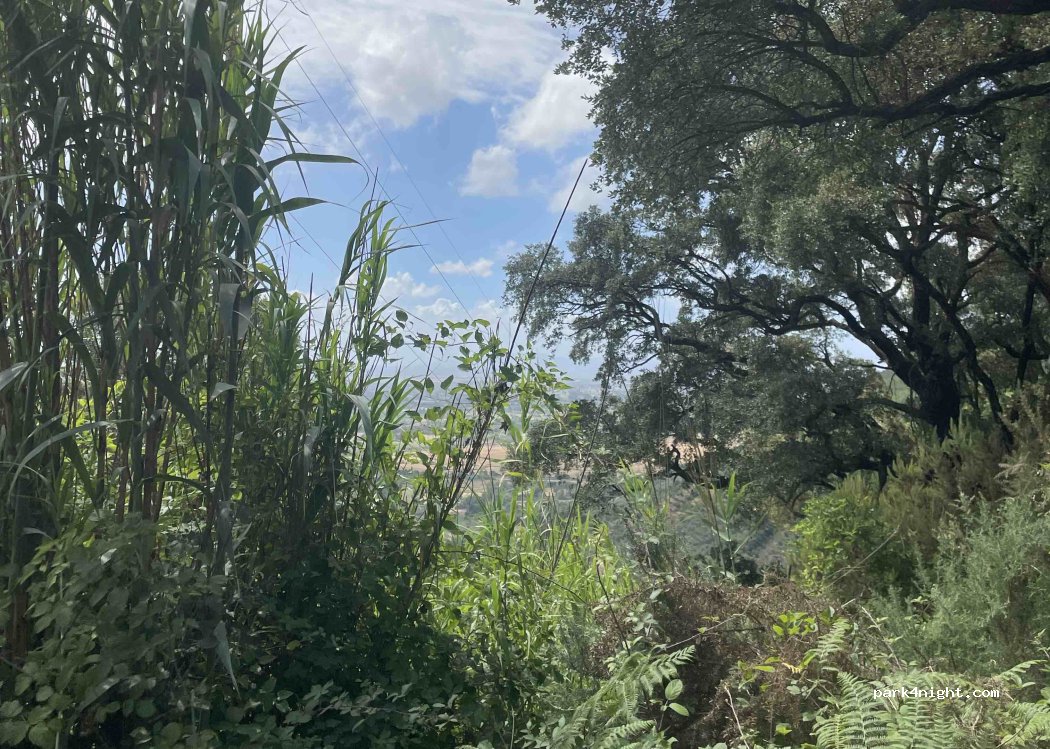 (56017) San Giuliano Terme - — foto 4