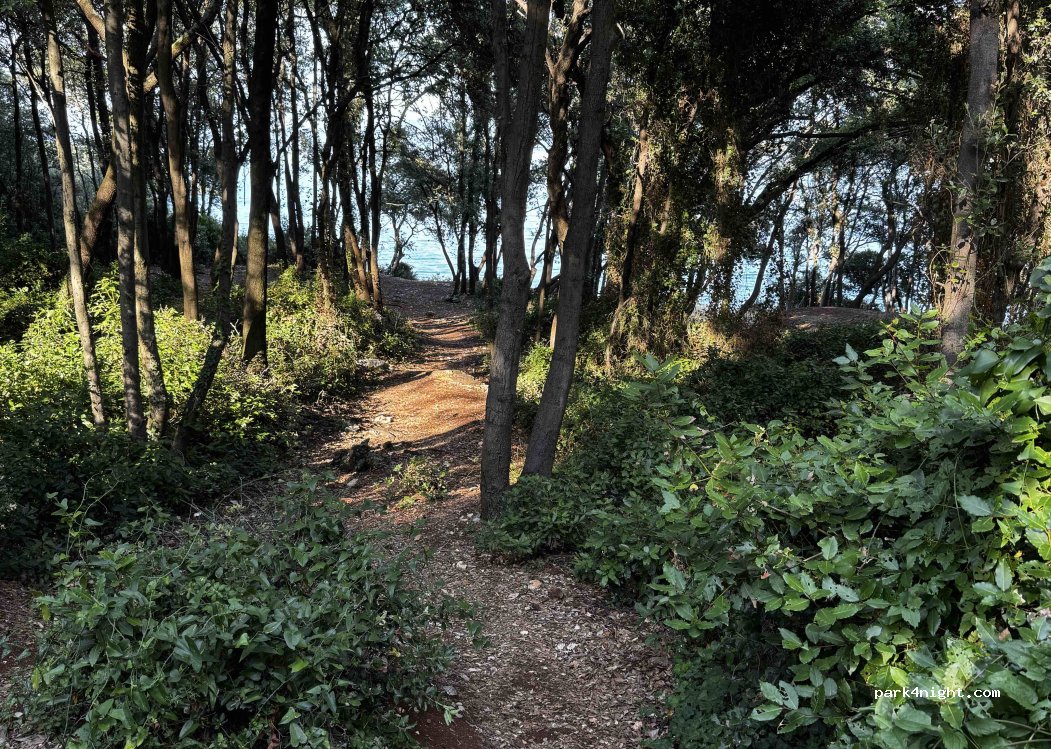 (52220) Duga Luka - Unnamed Road — foto