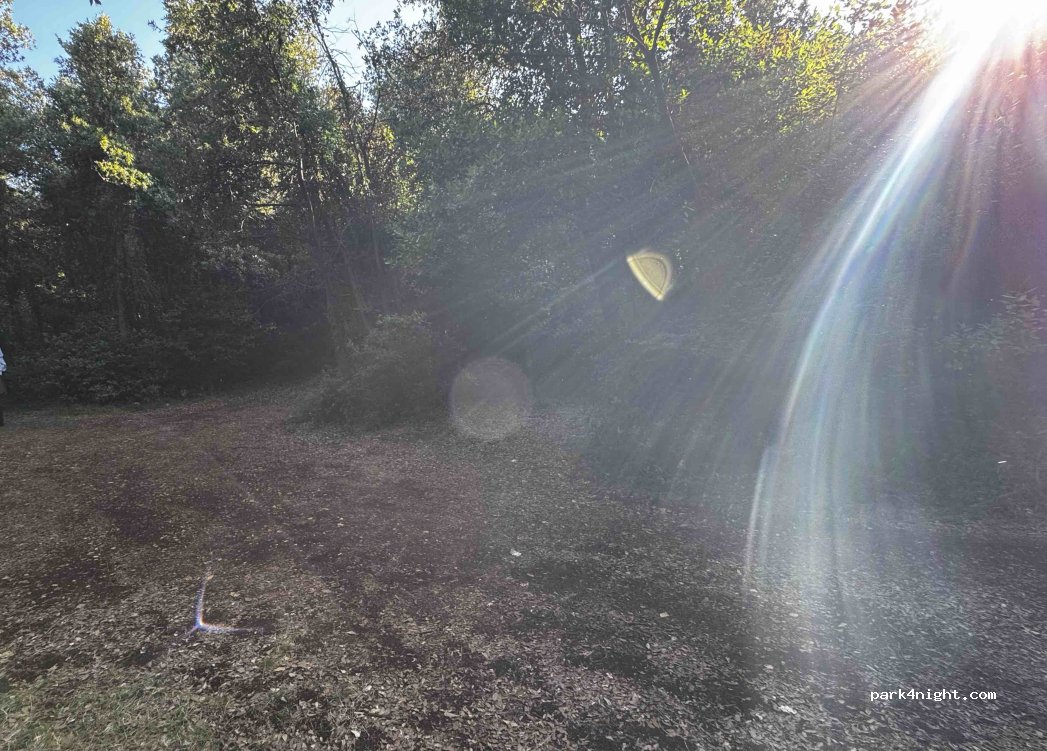 (52220) Duga Luka - Unnamed Road — foto 2