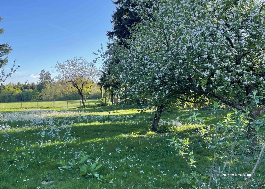 (56766) Auderath - Wilhelmshöhe 3a — foto 3