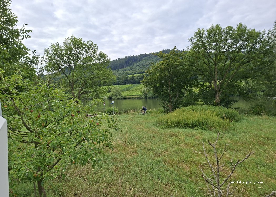(56856) Zell (Mosel) - 63 In Spay — foto 2
