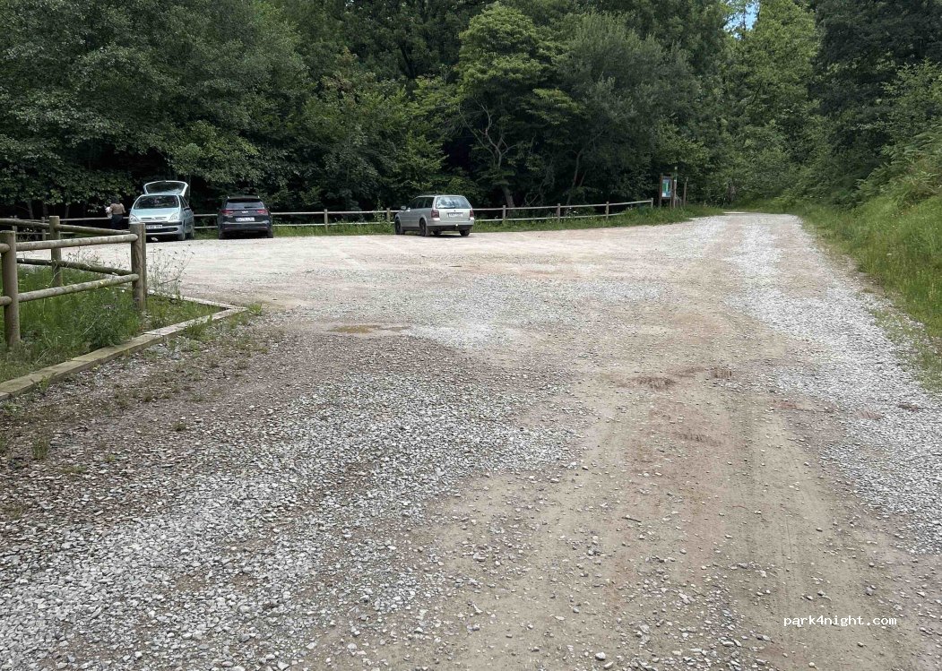 (39500) El Turujal - Unnamed Road — foto