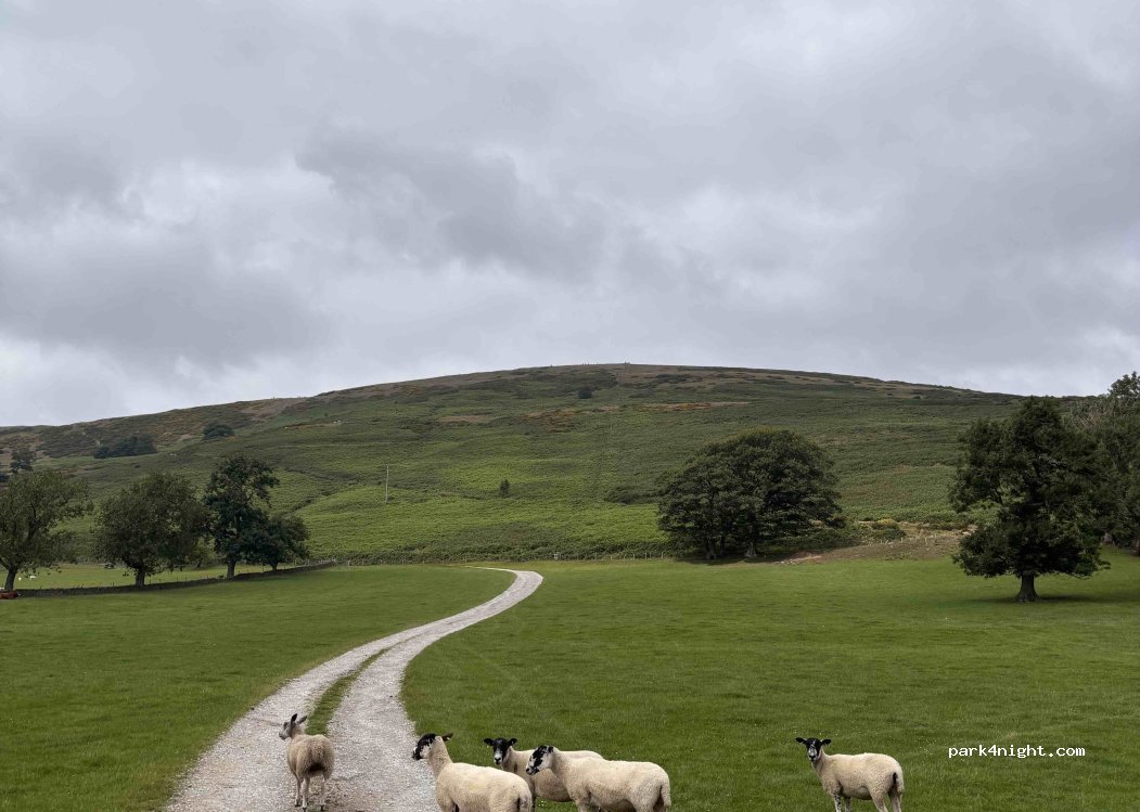 Castleton camping — foto