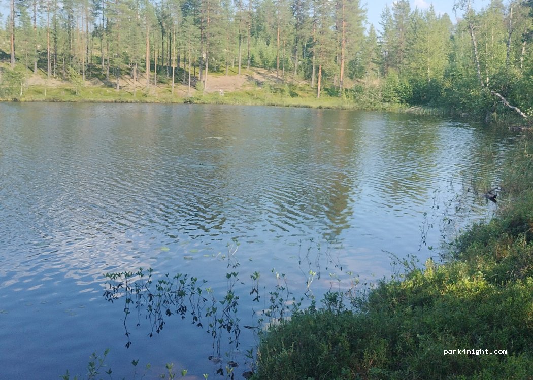 (924 92) Blattnicksele - — foto