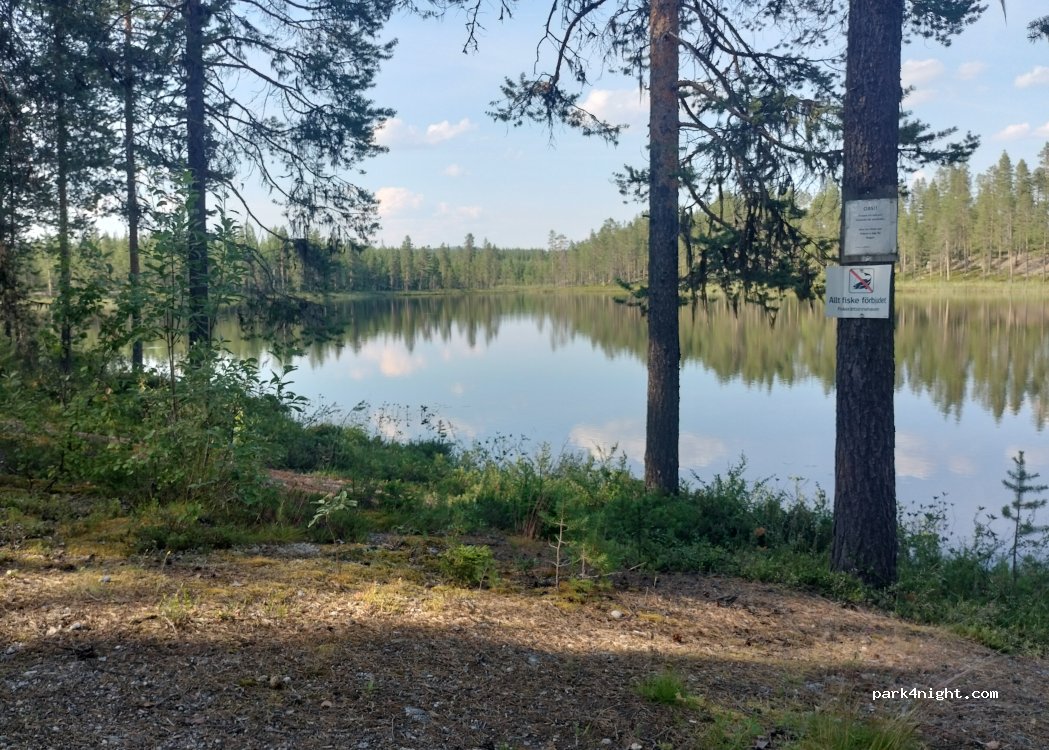 (924 92) Blattnicksele - — foto 2