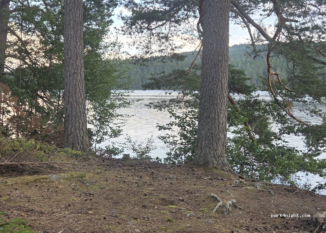 (2220) Åbogen - — foto 4