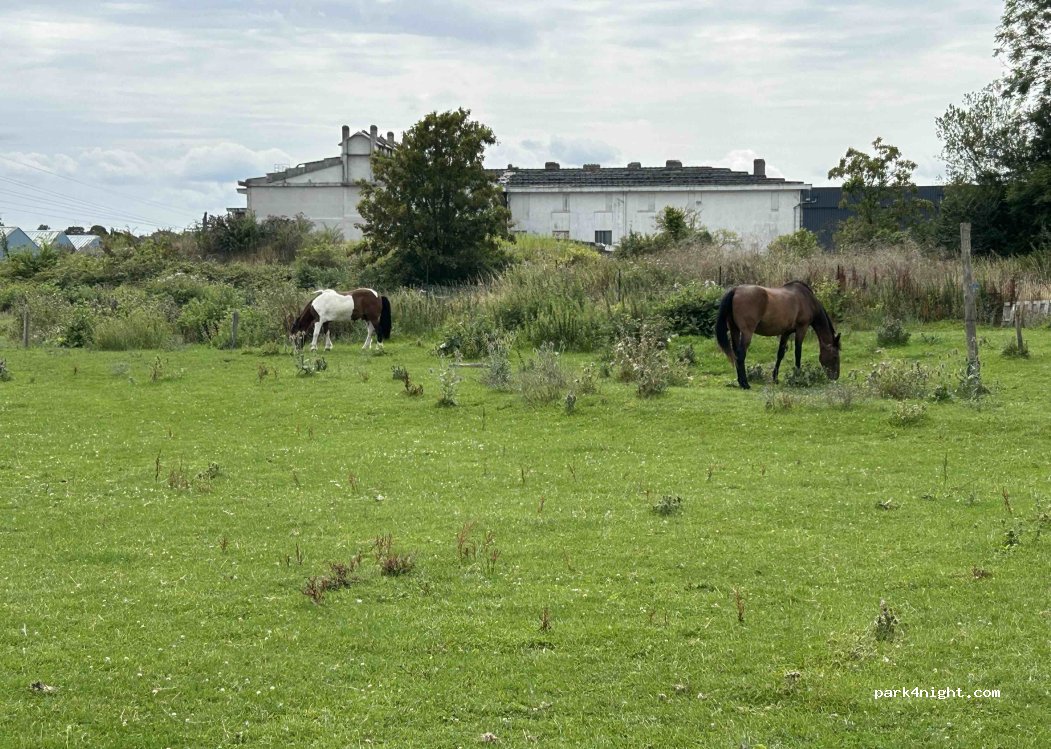 (14230) Isigny-sur-Mer - 20 Rue de la Vallée d'Aure — foto 2