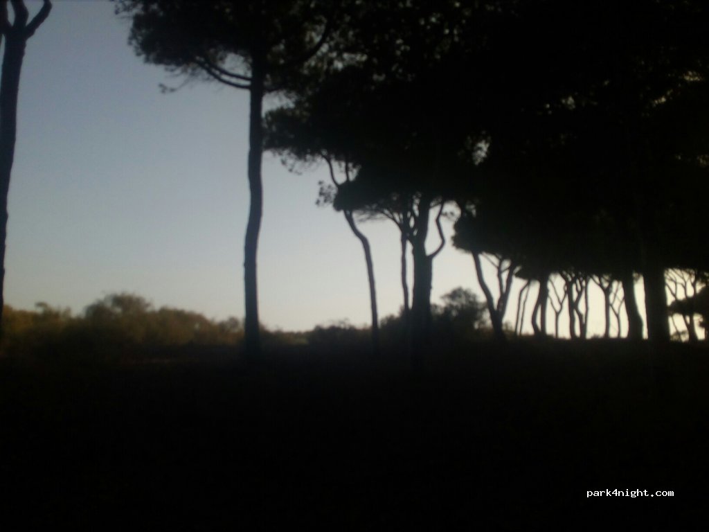 (21430) Isla Cristina - A-5054 — foto