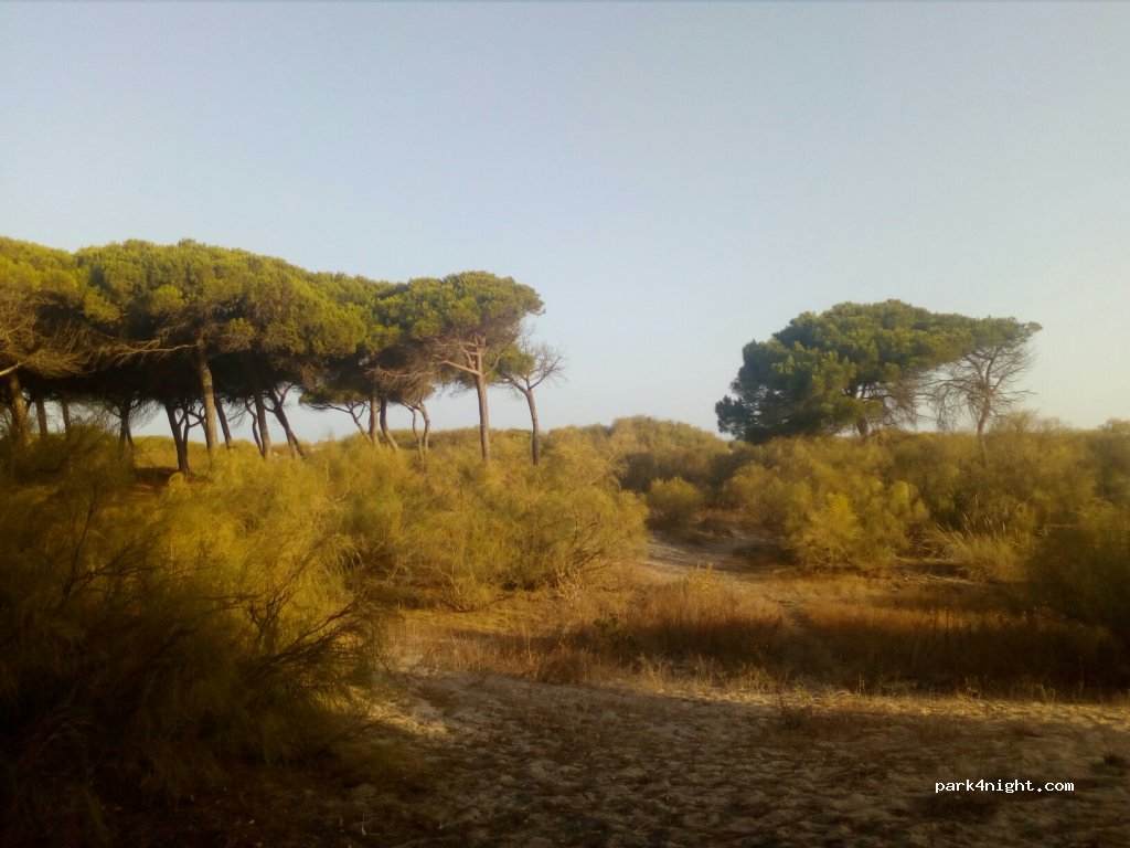 (21430) Isla Cristina - A-5054 — foto 2
