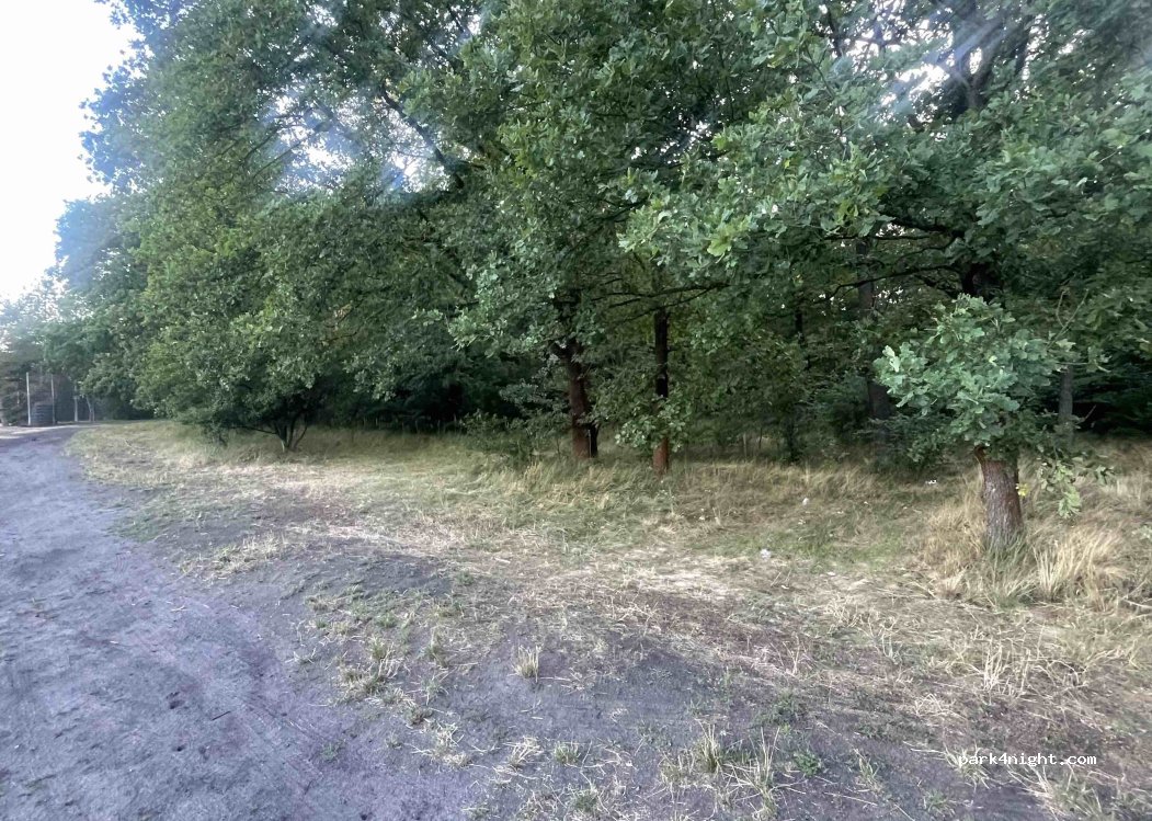 (44-172) Niewiesze - 6 Leśna — foto