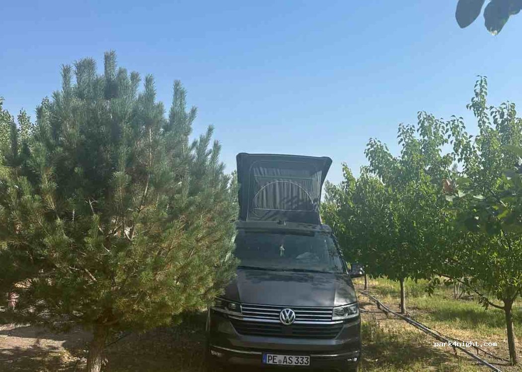 Şehrazat Camping piknik — foto 2
